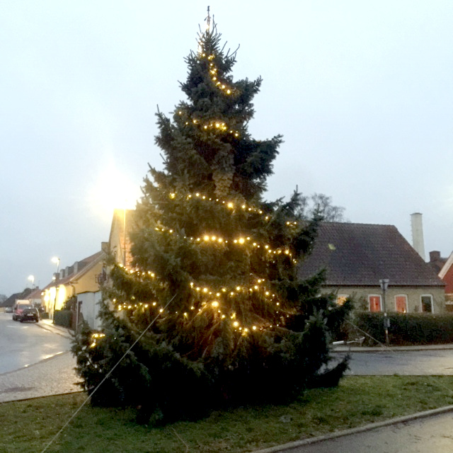 Juletrae2018 1