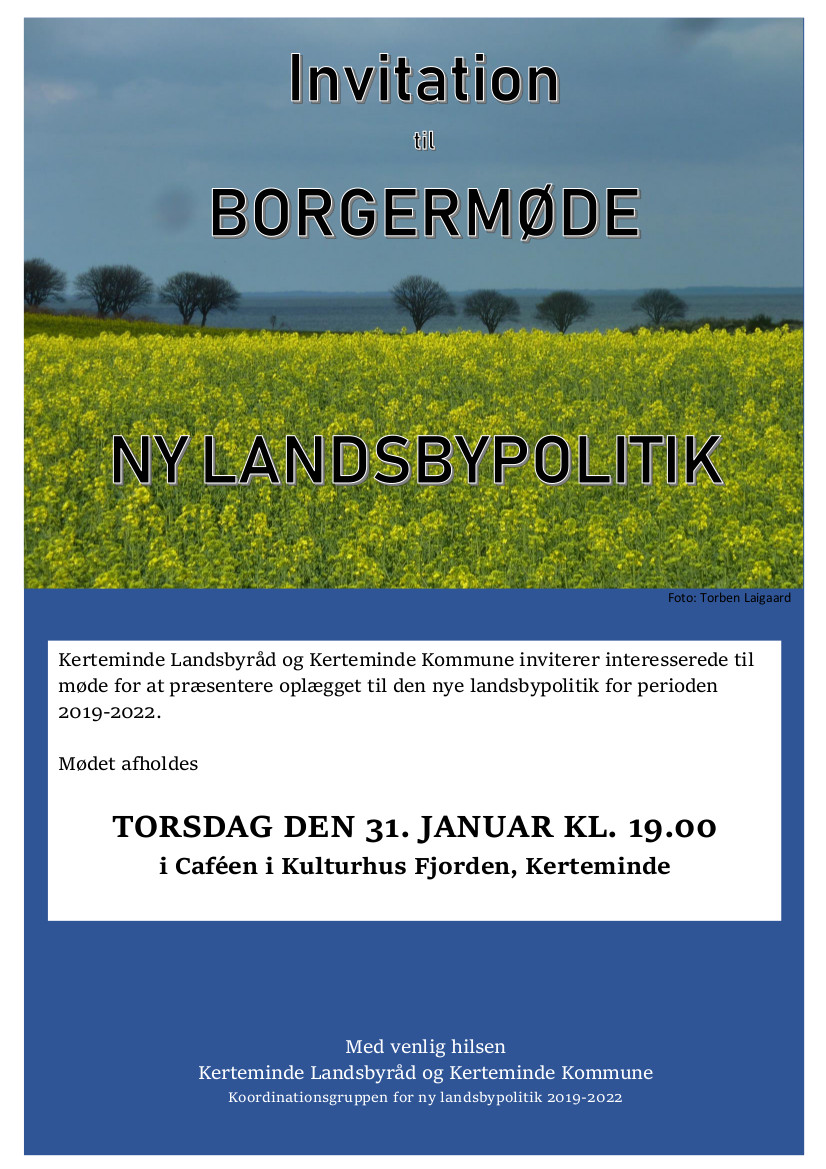 Borgermøde januar 2019