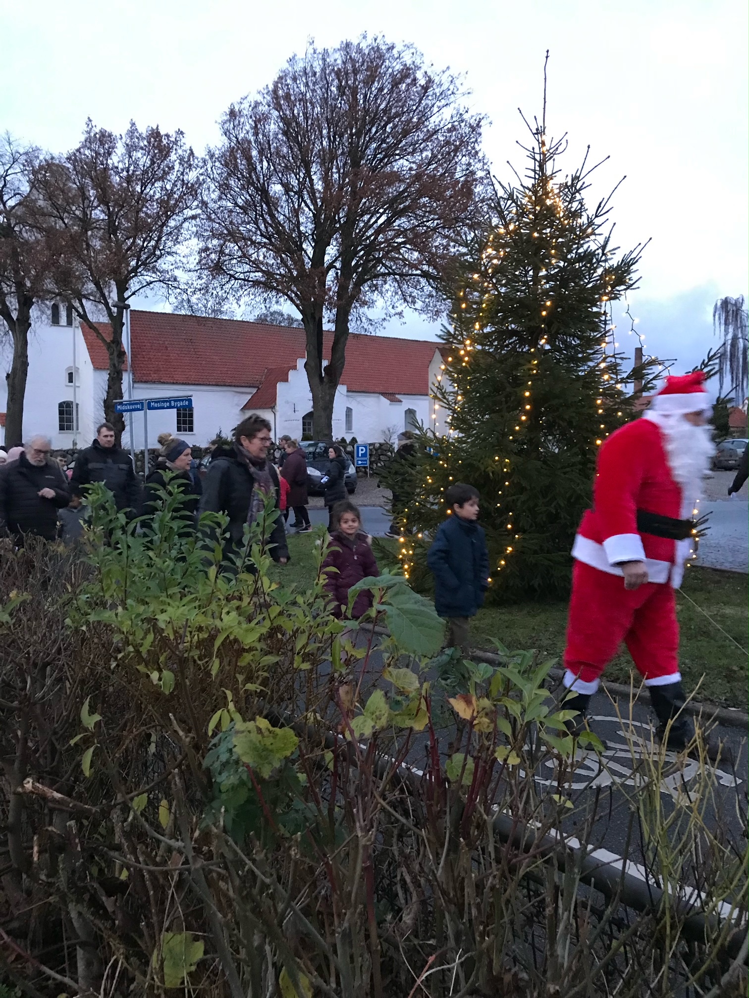 Juletræ0