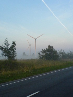 molleritagenhj(1)