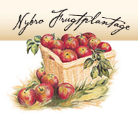 Nybro frugt